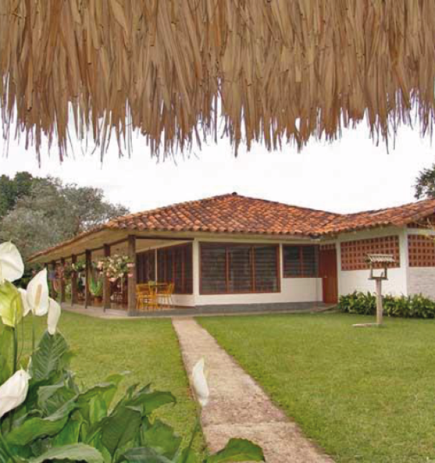 Mesa de trabajo 6
